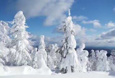 Snowhiter