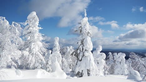 Snowhiter