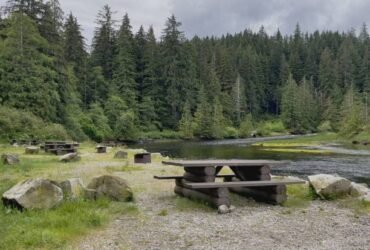 Money Creek Campground Travel Experience