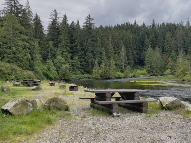 Money Creek Campground Travel Experience