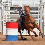 how far a horse run in a day