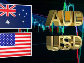 Aussie Buddies Platform: Complete Guide to Safe Use and Community Engagement