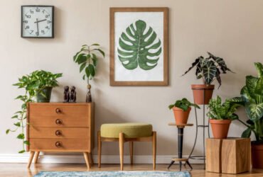 Greenery Hub: Transform Your Home and Garden with Lush, Vibrant Plants