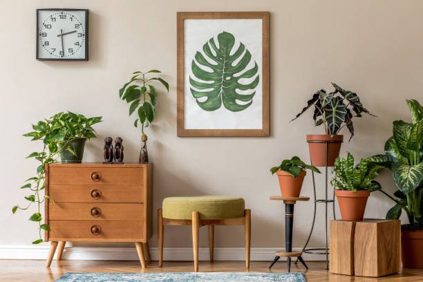 Greenery Hub: Transform Your Home and Garden with Lush, Vibrant Plants