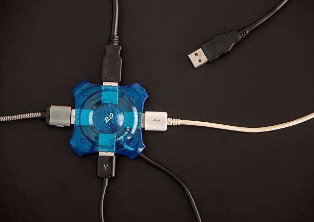 Animal Buddy USB Hubs: Fun, Stylish, and Highly Functional Connectivity Solutions