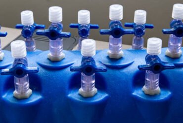 Steroid Hub: Your Ultimate Resource for Safe Steroid Knowledge and Community Insights