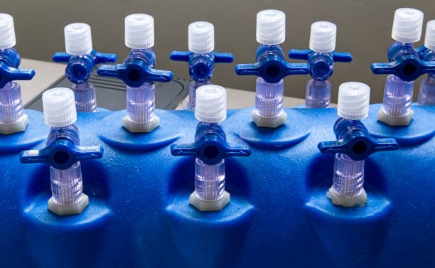 Steroid Hub: Your Ultimate Resource for Safe Steroid Knowledge and Community Insights