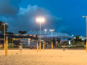 Volleyball Hub: How Players, Fans, and Enthusiasts Can Thrive in a Vibrant Volleyball Community