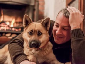 Chóim24h: Your Ultimate Dog Companion for Tips, Stories, and Care Advice