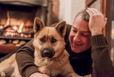 Chóim24h: Your Ultimate Dog Companion for Tips, Stories, and Care Advice