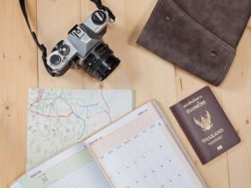 Unlock the hoptraveler mindset with bold insights, smart tips, and inspiring stories that transform ordinary trips into unforgettable journeys.