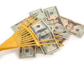 MyGreenBucks Net Jones: Following the Trail of Money, Mindset, and Modern Curiosity