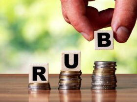 Rubrankinga Unfolded: When Curiosity, Ranking, and Human Judgment Collide