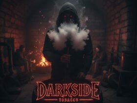 Darkside Tobacco: Flavor, Culture, and the Curious Allure of the Modern Hookah Scene